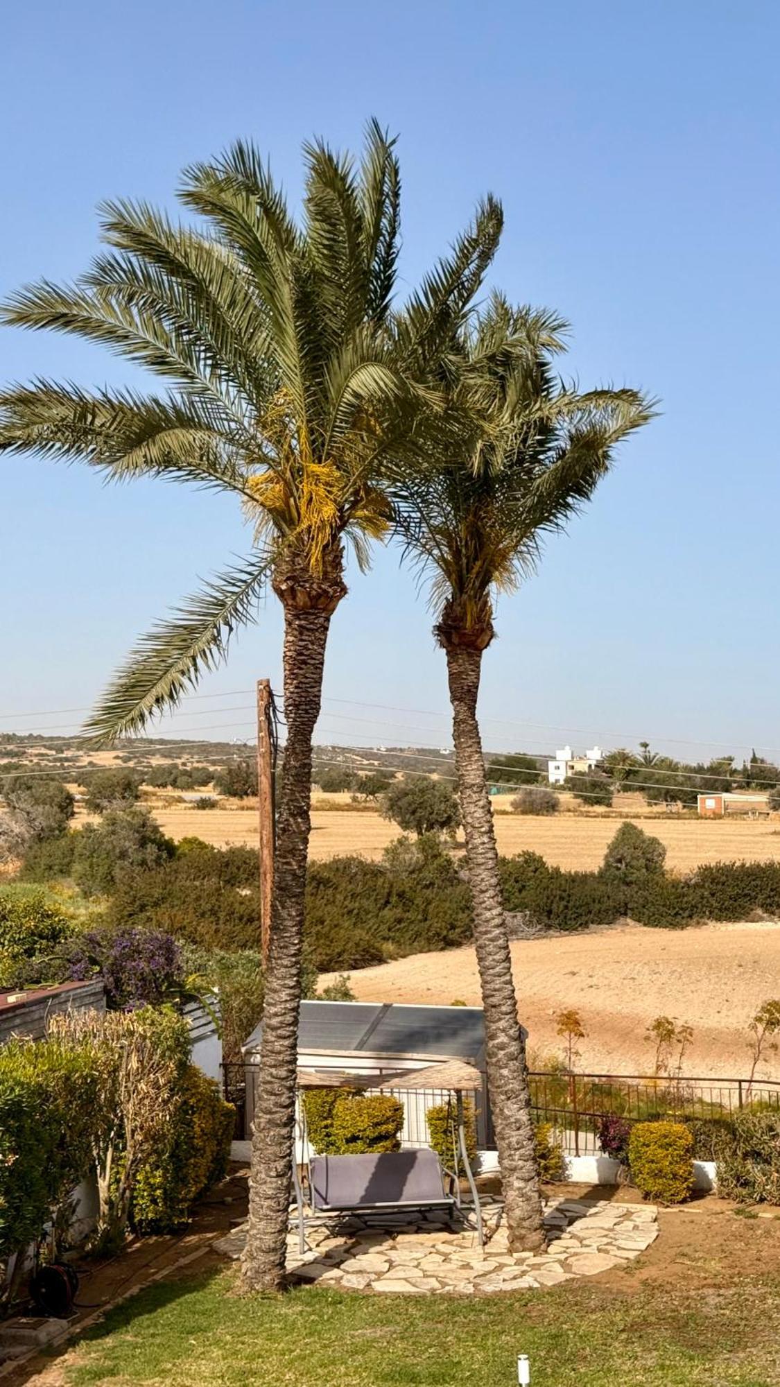 Villa Hera Agios Theodoros Εξωτερικό φωτογραφία